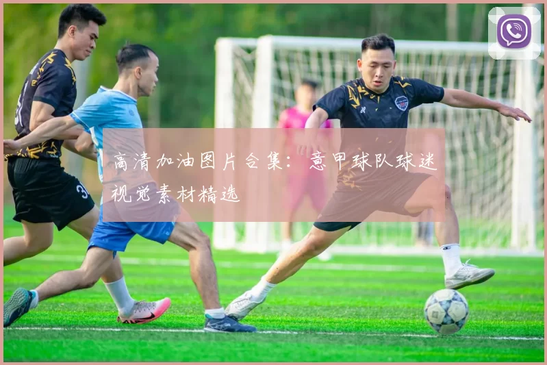 高清加油图片合集：意甲球队球迷视觉素材精选