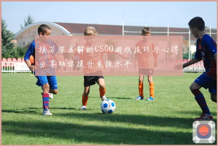 杨芳深度解析CSGO游戏技巧与心得分享助你提升竞技水平