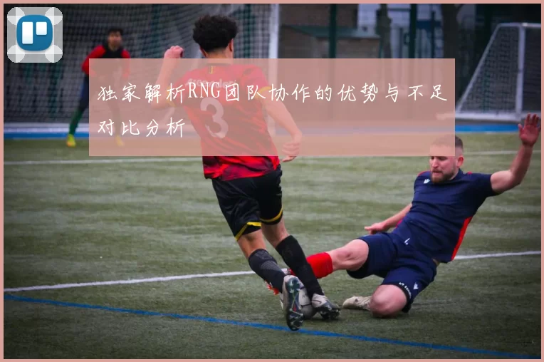 独家解析RNG团队协作的优势与不足对比分析