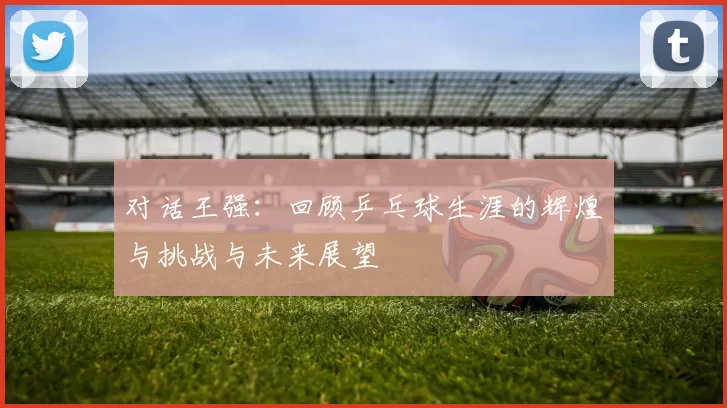 对话王强：回顾乒乓球生涯的辉煌与挑战与未来展望