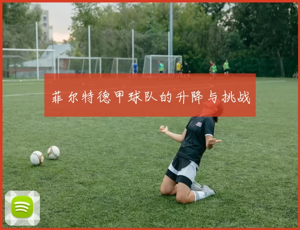 菲尔特德甲球队的升降与挑战