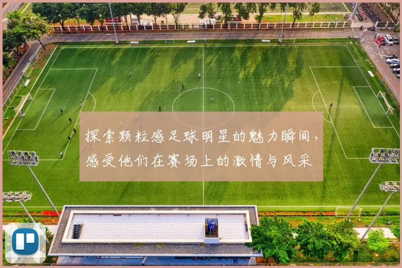 探索颗粒感足球明星的魅力瞬间，感受他们在赛场上的激情与风采
