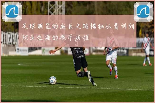 足球明星的成长之路揭秘从青训到职业生涯的艰辛历程