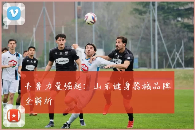 齐鲁力量崛起：山东健身器械品牌全解析