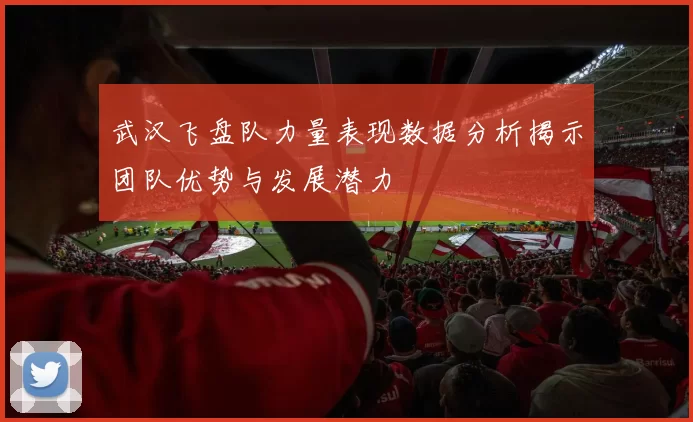 武汉飞盘队力量表现数据分析揭示团队优势与发展潜力