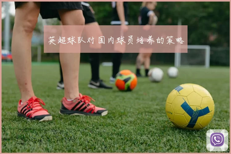 英超球队对国内球员培养的策略