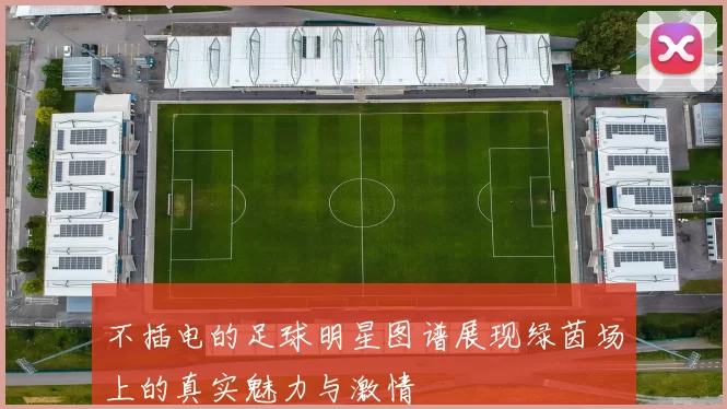 不插电的足球明星图谱展现绿茵场上的真实魅力与激情