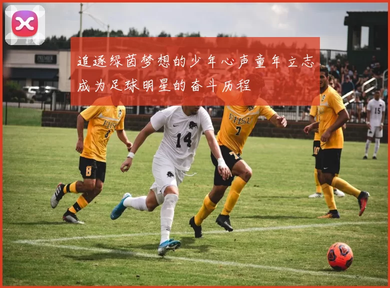 追逐绿茵梦想的少年心声童年立志成为足球明星的奋斗历程