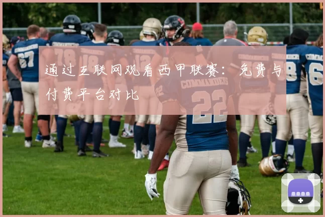 通过互联网观看西甲联赛：免费与付费平台对比