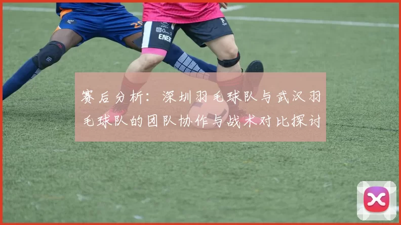 赛后分析：深圳羽毛球队与武汉羽毛球队的团队协作与战术对比探讨