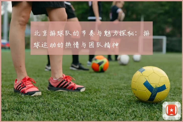 北京排球队的节奏与魅力探秘：排球运动的热情与团队精神
