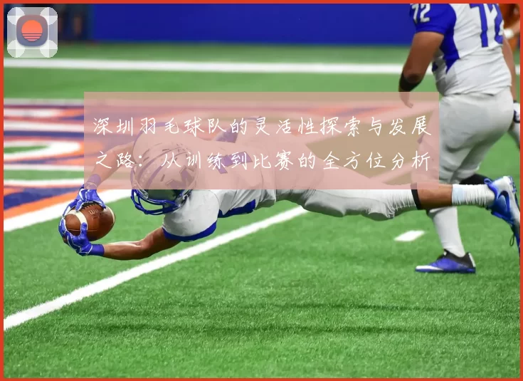 深圳羽毛球队的灵活性探索与发展之路：从训练到比赛的全方位分析