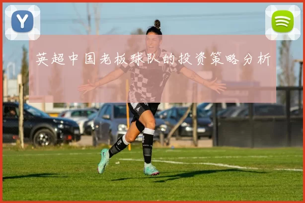 英超中国老板球队的投资策略分析