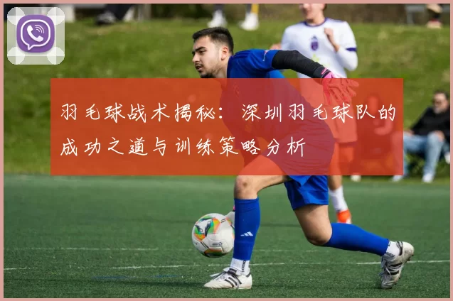 羽毛球战术揭秘：深圳羽毛球队的成功之道与训练策略分析