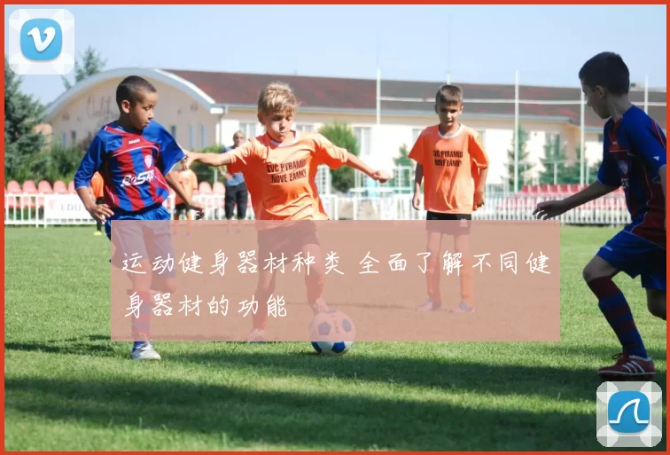 运动健身器材种类 全面了解不同健身器材的功能