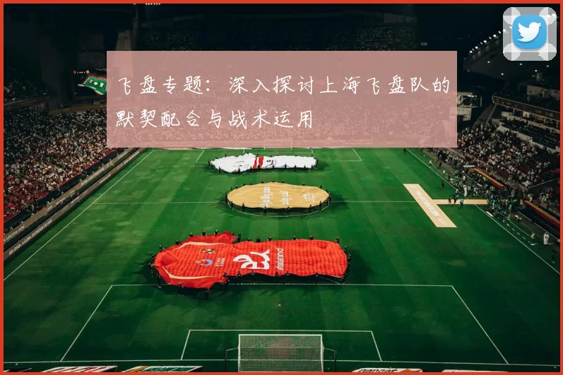飞盘专题：深入探讨上海飞盘队的默契配合与战术运用