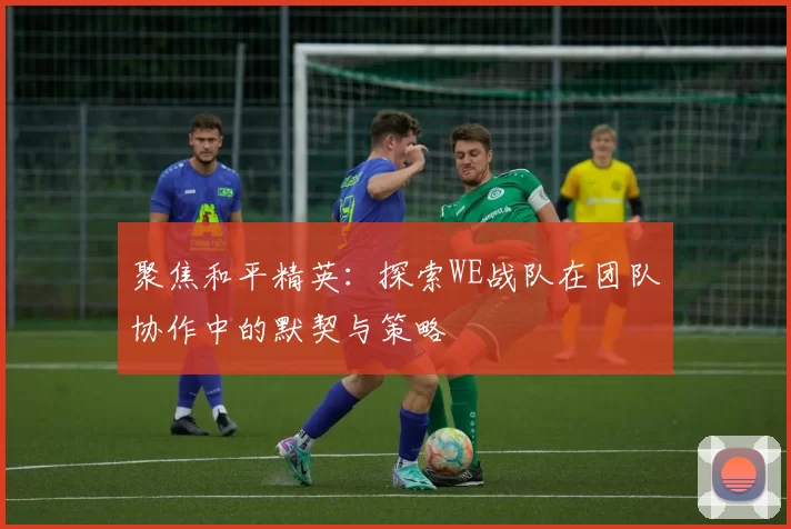 聚焦和平精英：探索WE战队在团队协作中的默契与策略