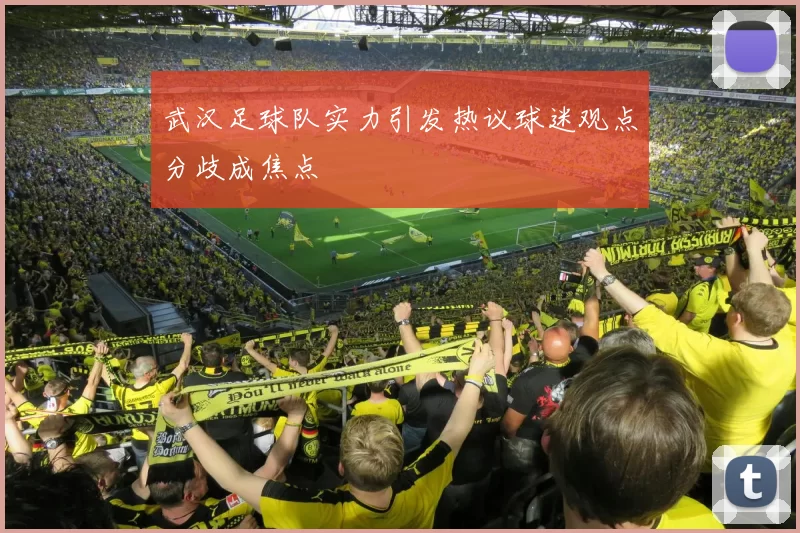 武汉足球队实力引发热议球迷观点分歧成焦点